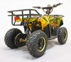 Квадроцикл GreenCamel Гоби K40 (36V 800W R6 Цепь) быстросъем