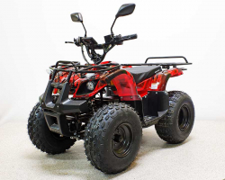 Квадроцикл GreenCamel Атакама T120 (48V20Ah 800W R8 Цепь)