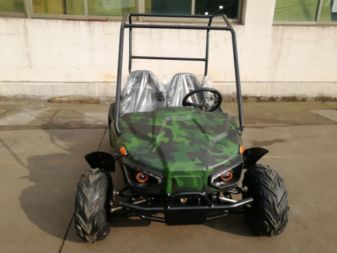 Багги GreenCamel Намиб T009 (60V20Ah 1500W R7) Дифф