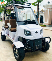 Гольфкар GreenCamel Сонора A40 New (4 seats 2500W 225/40-10' литые)