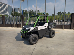 CHEETAH Electric UTV