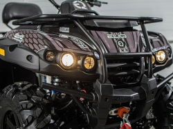 Электроквадроцикл ELIQ RM 650