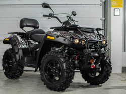 Электроквадроцикл ELIQ RM 650
