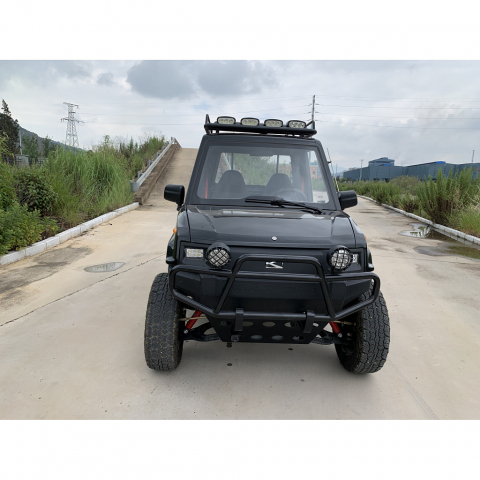 Электрический UTV Pickup (Грузовой гольфкар) 2хместный 2/4WD