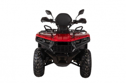 Электроквадроцикл Bizon YK250EL LUX