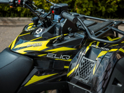 Электроквадроцикл ELIQ RM 650