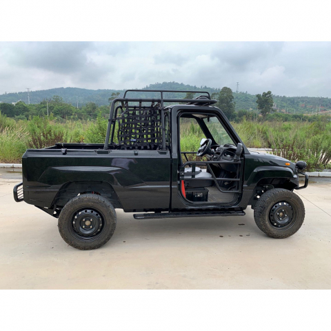 Электрический UTV Pickup (Грузовой гольфкар) 2хместный 2/4WD